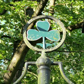 Kleeblatt im Grünen