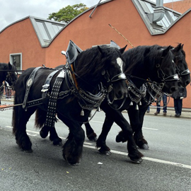 Bilder vom Erntedankfestzug 2025