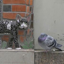 Bahnhofskatze mit Gefolgschaft