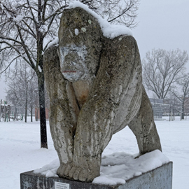 Gorilla im Schnee