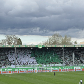 Das Kleeblatt blüht – die Lilien welken