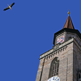 Das Bild zum Sonntag: Der Storch über St. Michael