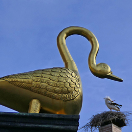 Zwei Vögel, zwei Welten: Kunst trifft Natur