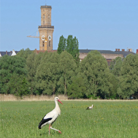 Großstadtidylle am Feiertag