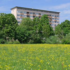 Die Sonne ist zurück